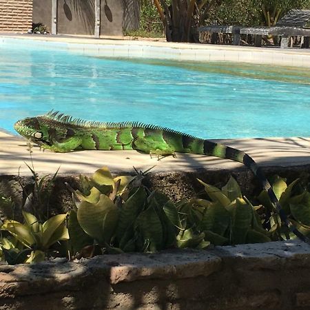 Cruz  Casa Caicara Villas De Praia المظهر الخارجي الصورة